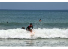 Bali Surf Lessons