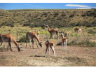 End Of The Earth: 15-Day Trekking Adventure in Chile & Argentina 