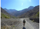 Atlas to the Atlantic - Morocco Family Adventure