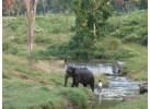 Southern India In Depth: 18-Day Ethnic and Cultural Adventure
