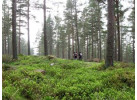 Self-Guided Walking: The Speyside Way