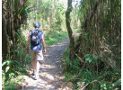 Arenal Rainforest to Manuel Antonio Family Adventure