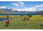 Chile/Argentina | Patagonia