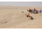 Explore Egypt's Tucked-away Treasures