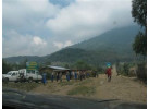 12 Day - Classic Uganda and Rwanda