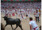 Adventure from Barcelo to Bilbao Highlights an Experience with Running of the Bulls