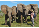 Search out and photograph diverse wildlife in Tarangire Safari Experience