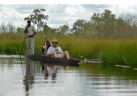 Explore the Landscapes and Wildlife of Botswana Elephant Trail