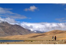 The Markha Valley Trek