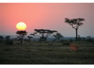 Tanzanian Culture and Wildlife Adventure