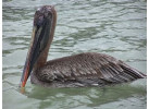 Voyage Galapagos: 7-Day G3 Cruise & Wildlife Adventure in Central Islands