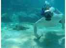 Comfort Galapagos - 6 Days G4 Cruise & Wildlife Adventure in North Islands