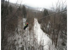 Wild Winter Ride Canopy Tour
