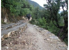 Trekking the Curzon's Trail and the Kuari Pass