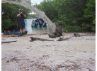 Ecuador's Galapagos Islands (Ecological wonderlands of the Galapagos Islands) - Tour Length: 8 Days