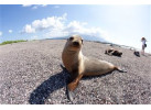 Galápagos Islands Sailing and Multi-Sport Adventure