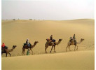 Discover the Exotic Destinations of Northern India 