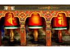 Laya Settlements and Ghasa Trekking Adventure of Bhutan