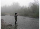 Fishing and Bear Viewing Combination