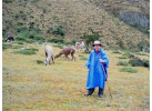Explore the Culture of Peru in this 8-Day Walking Adventure