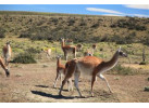 Brazil, Argentina & Chile: 20-Day Cultural & Historical Exploration