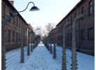 Poland & The Baltic States With Helsinki - 18-Day Adventure