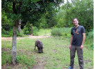 Search out and photograph diverse wildlife in Tarangire Safari Experience