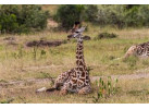 African Culture And Wildlife Viewing on Addis to Zanzibar Adventure