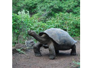 Ecuador: The Highlands