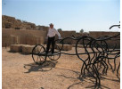 Experience Middle East - Jordan, Israel & Egypt 29 Days Adventure