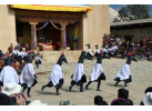 Black-Necked Crane Festival