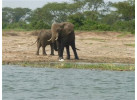 32-Day Wildlife & Cultural Experience in Rwanda, Uganda, Kenya & Tanzania