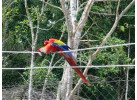 12-Day Cultural & Walking Adventure in Guatemala