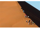 12 Days Adventure The Great Namibia Wildlife Safari