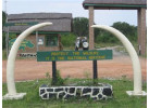 Discover the Cultural Heritage of Uganda, Rwanda & Kenya in this 19-Day Wildlife Adventure
