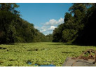 Amazon Riverboat Adventure: 9-Day River Cruise & Wildlife Adventure