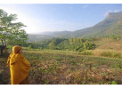 A Cultural Exploration Into the Heart of North Thailand by Bike