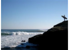 Surf School at Baja Northern Resort - 5 Days for 2 to 3 Surfers