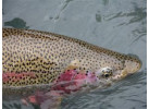 Alaska Family Fishing Adventure