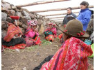 Peru Summer Program
