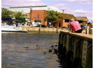 Explore the Heart of Annapolis