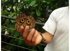 Classic Costa Rica Adventure in 9 Days