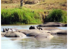 Grand Adventurer (75 Days) Nairobi to Cape Town