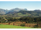 Southern African Circuit: 32-Day Cultural & Wildlife Adventure