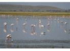 Grand Safari - 15 Day Tour