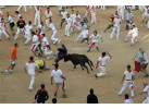 Adventure from Barcelo to Bilbao Highlights an Experience with Running of the Bulls