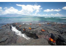 Galápagos Islands Sailing and Multi-Sport Adventure