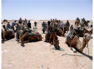 Morocco - Fez to Marrakech