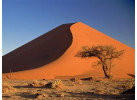 Southern African Circuit: 32-Day Cultural & Wildlife Adventure