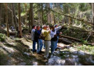 5 Days Boomer Backpack in Glacier National Park, Montana - Special Trip for Seniors